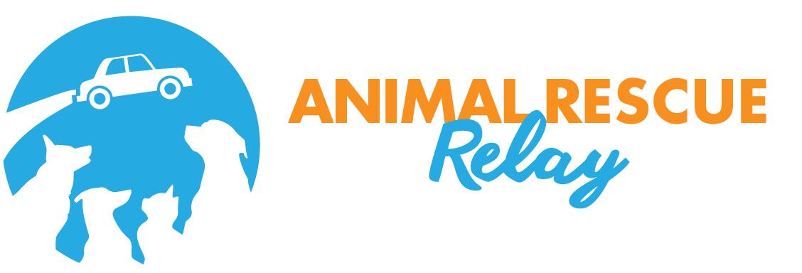 Community Partnership Feature: Animal Rescue Relay