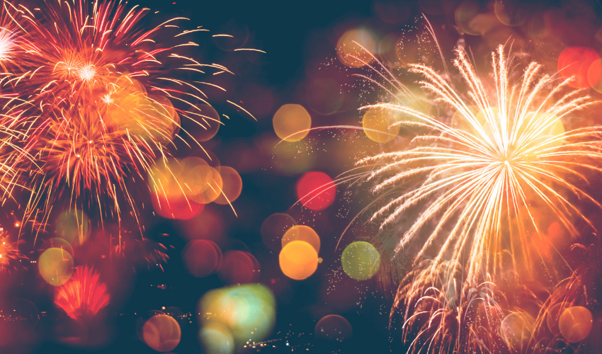 Celebrating Your Dog's Peace of Mind During Holiday Fireworks