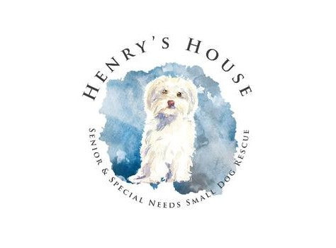 Community Partnership Feature: Henry's House