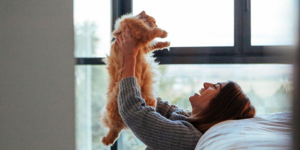 Cat in air with owner