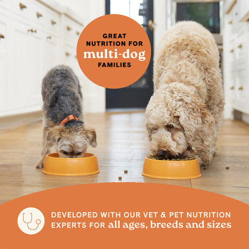 Canidae All Life Stages Dry Dog Food Multi-Protein Recipe