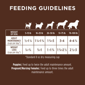 Nature's Variety Instinct Be Natural Lamb & Oatmeal Recipe Dry Dog Food