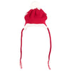 Worthy Dog Santa Hat