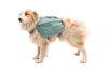 Ruffwear Front Range Day Pack