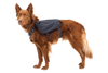 Ruffwear Front Range Day Pack