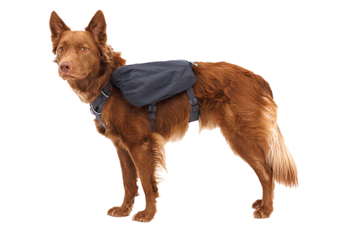 Ruffwear Front Range Day Pack