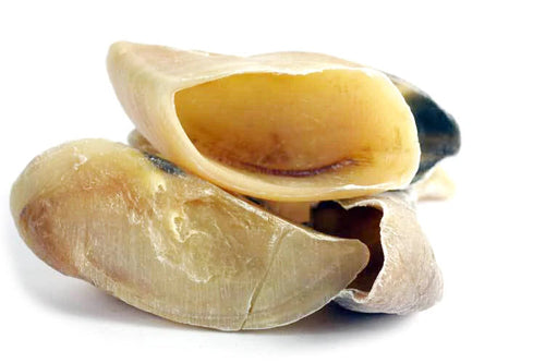 Tuesday's Natural Dog Company Cow Hooves Dog Treats