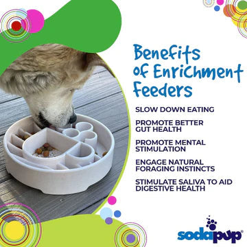 SodaPup Java Design eBowl Enrichment Slow Feeder Bowl for Dogs