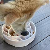 SodaPup Java Design eBowl Enrichment Slow Feeder Bowl for Dogs