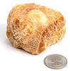 Durkha Dog Chew Packaged Puffs