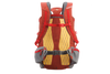 Ruffwear Hitch Hiker™ Dog Backpack Carrier