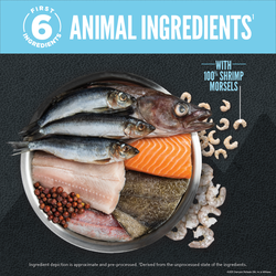 ORIJEN WILD RESERVE™, Wild-Caught Fish Recipe