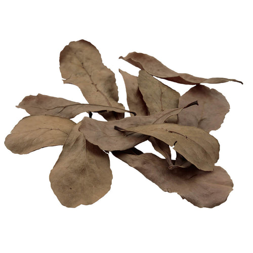 Fluval Betta Tropical Almond Leaves