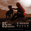 Orijen Wild Reserve™ Farm-Raised Beef & Lamb Recipe Dry Dog Food