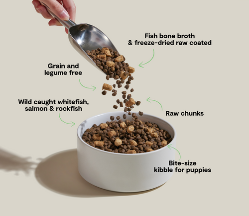 Open Farm RawMix Grain-Free Puppy Kibble Dry Dog Food
