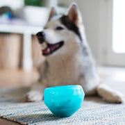 Messy Mutts Totally Pooched Stuff'n Wobble Ball, 5, Teal
