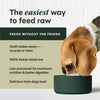 Instinct® Raw Meals Freeze-Dried Pollock Dog Food